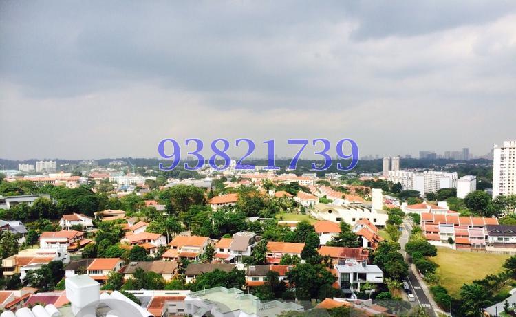 D'Leedon thumbnail photo